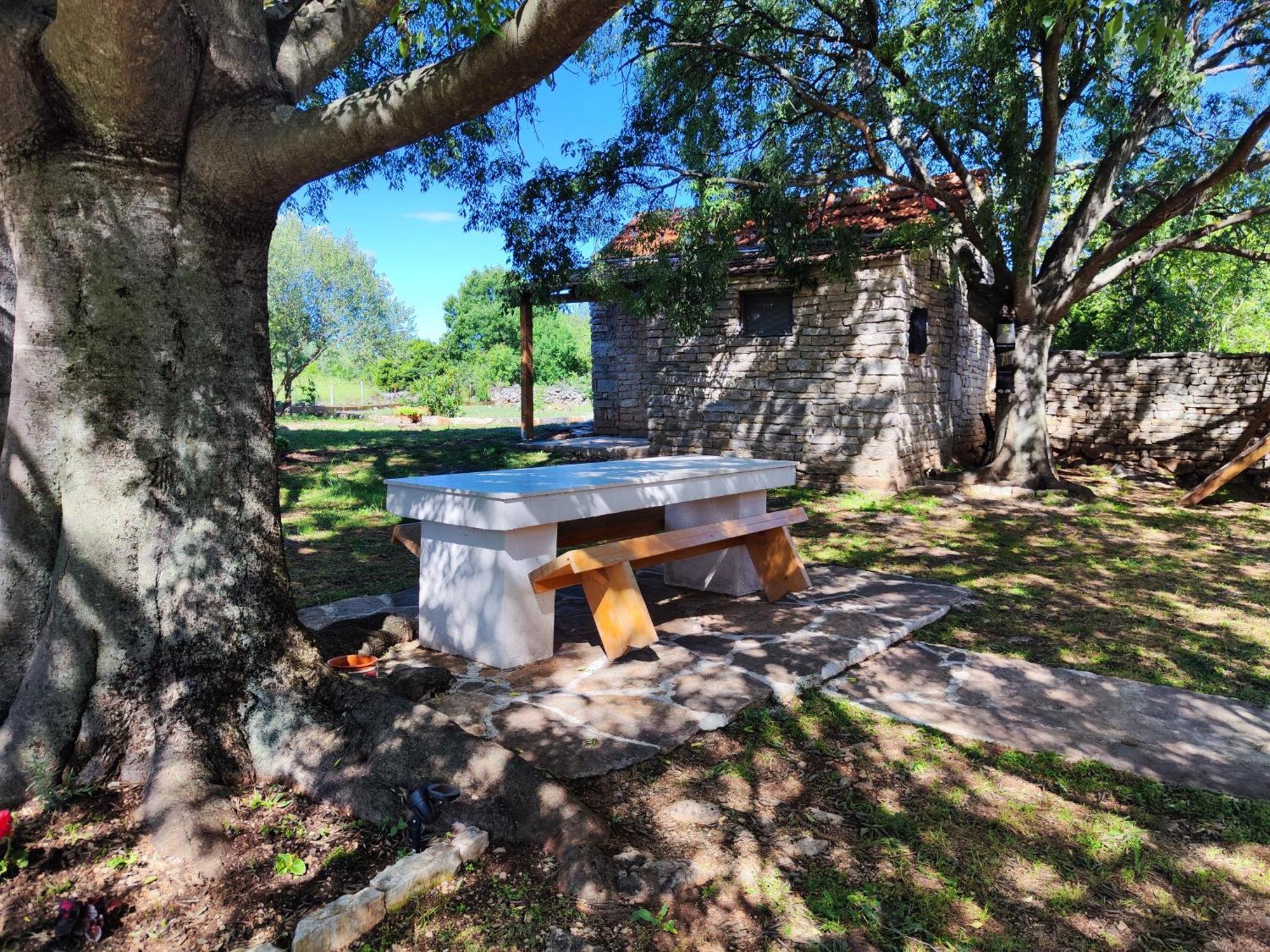 Kuca Dida Jure Vila Pridraga Exterior foto